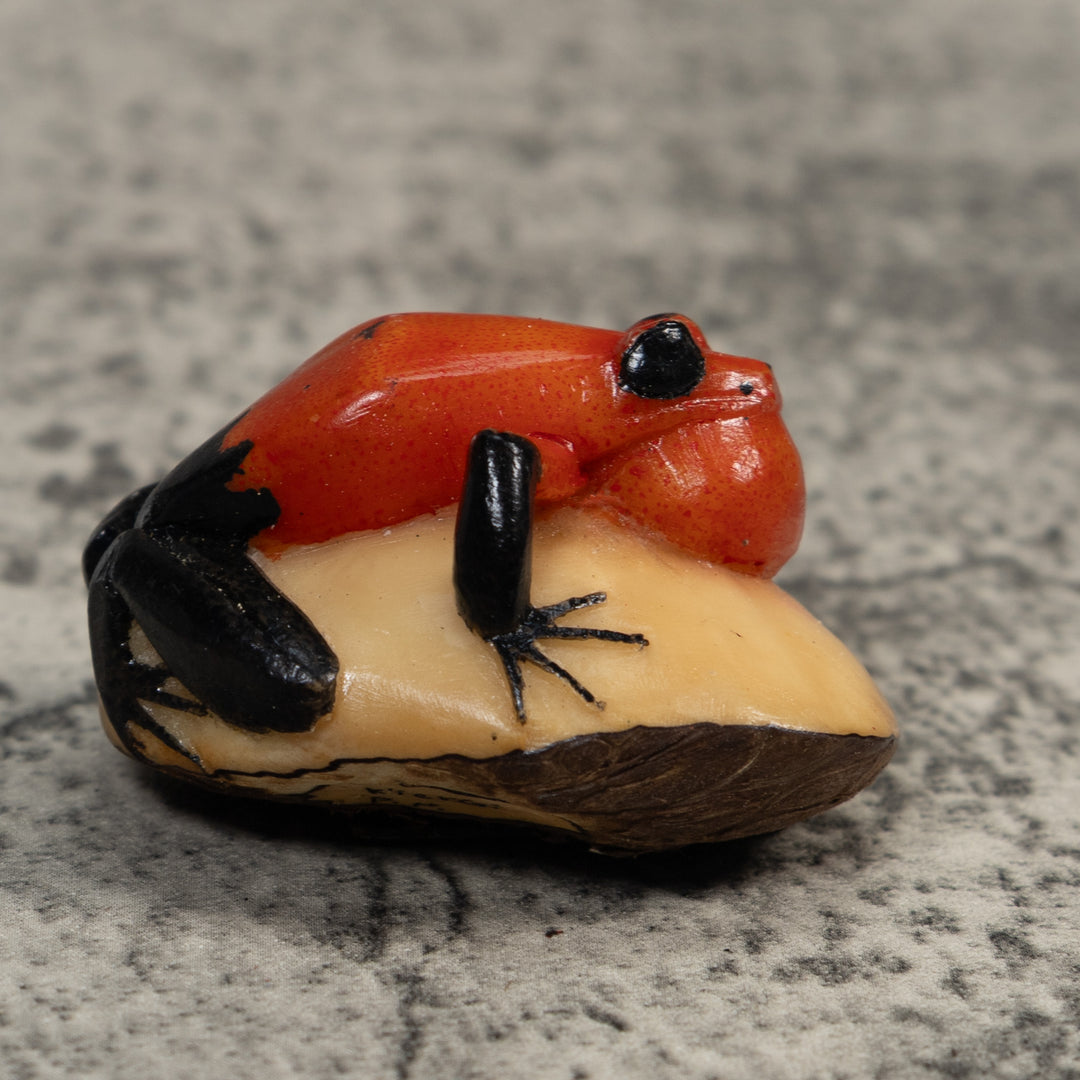 Black And Red Blowthroat Poison Dart Frog Tagua Carving