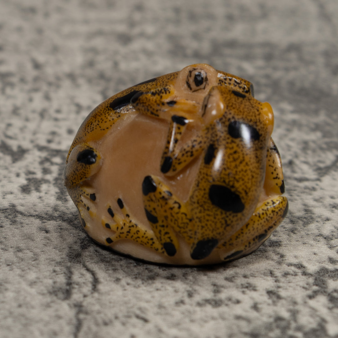 Double Vintage Frog Tagua Carving