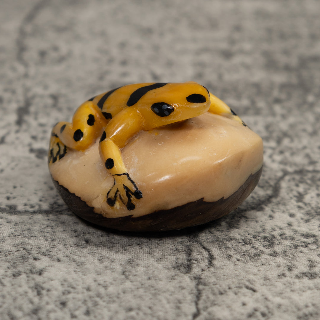 Golden Frog Tagua Carving