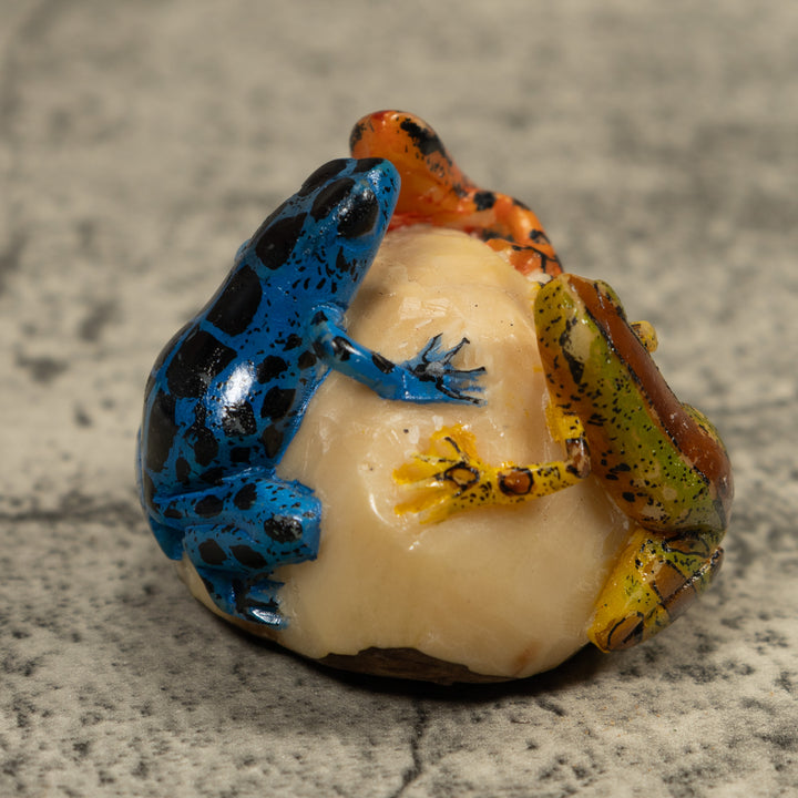 Triple Poison Dart Frog Tagua Carving