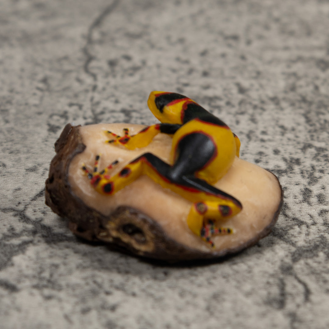 Gold Red And Black Frog Tagua Carving