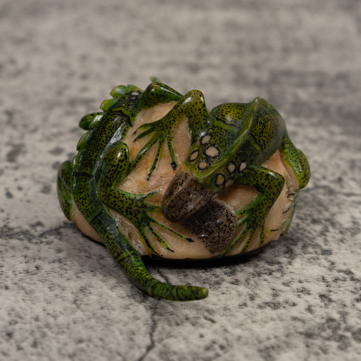 Double Long-Tail Iguana Tagua Carving