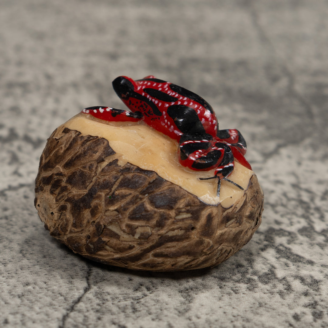 Poison Dart Frog Tagua Carving