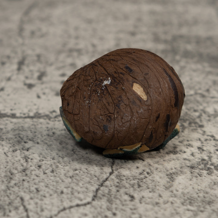 Vintage Blue And Black Frog Tagua Carving