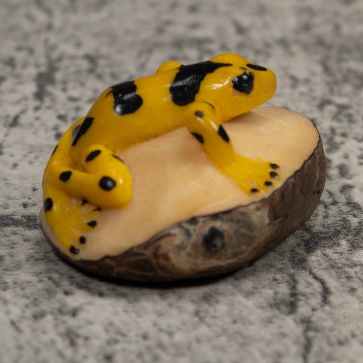 Golden Frog Tagua Carving