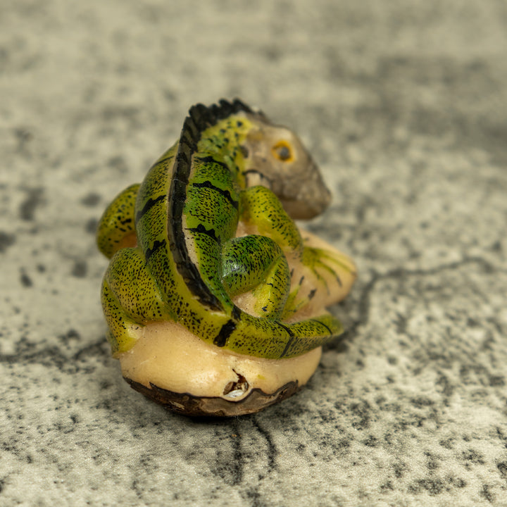 Green Iguana Lizard Tagua Carving
