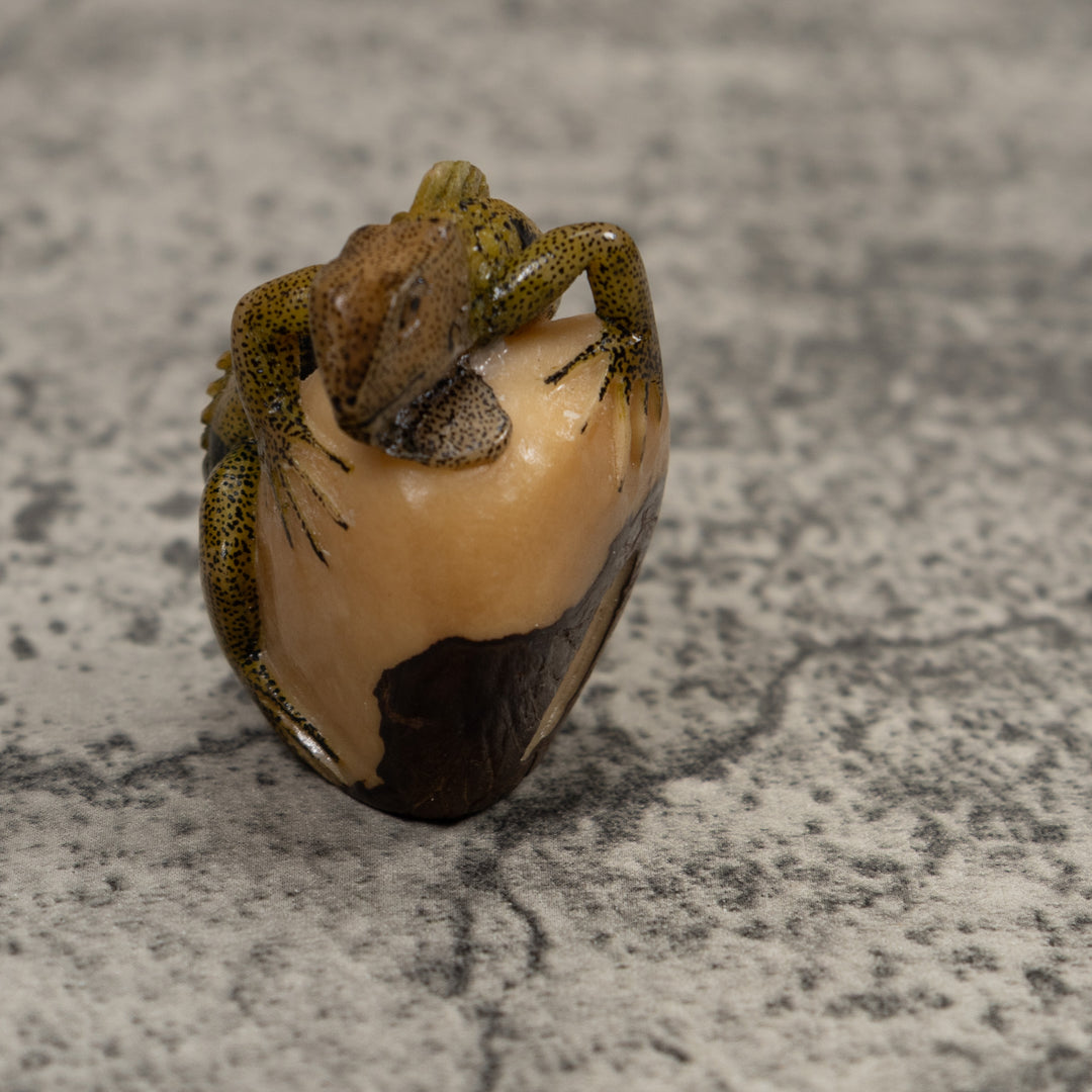 Iguana Lizard Reptile Tagua Carving