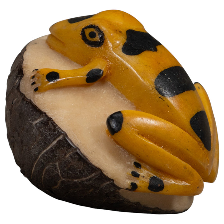 Vintage Black And Gold Frog Tagua Carving