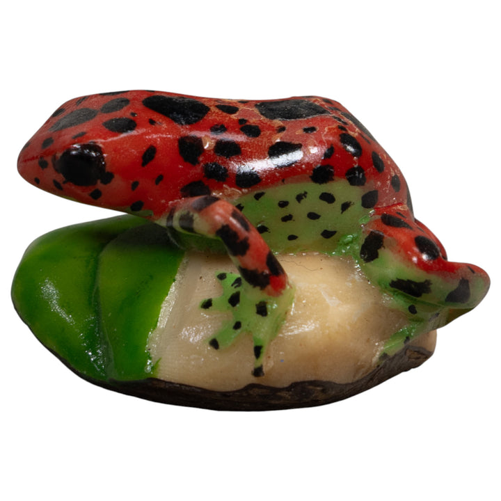 Red Black And Green Poison Dart Frog Tagua Carving