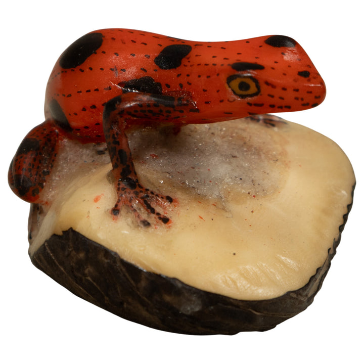 Poison Dart Frog Tagua Carving