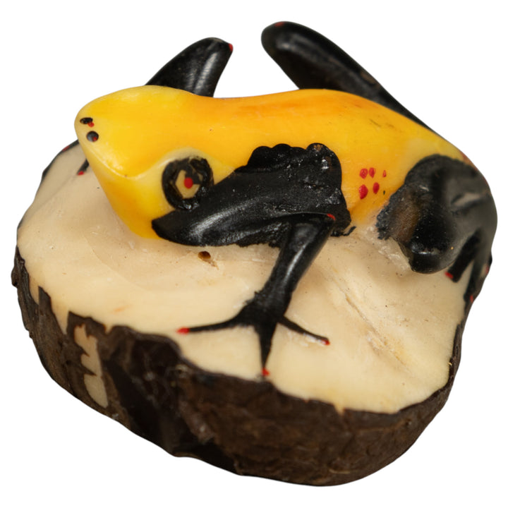 Vintage Black And Yellow Poison Dart Frog Frog Tagua Carving