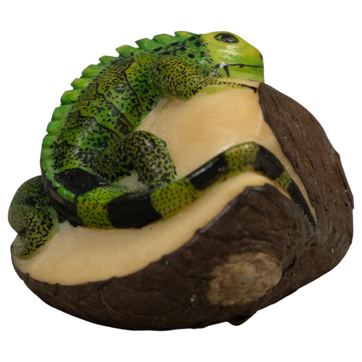 Iguana Lizard Reptile Tagua Carving