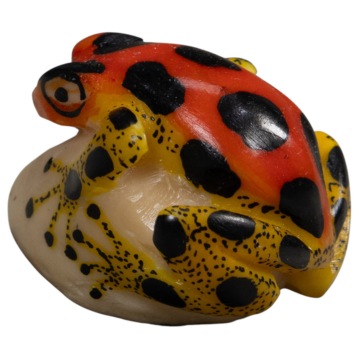 Red Yellow And Black Poison Dart Frog Tagua Carving