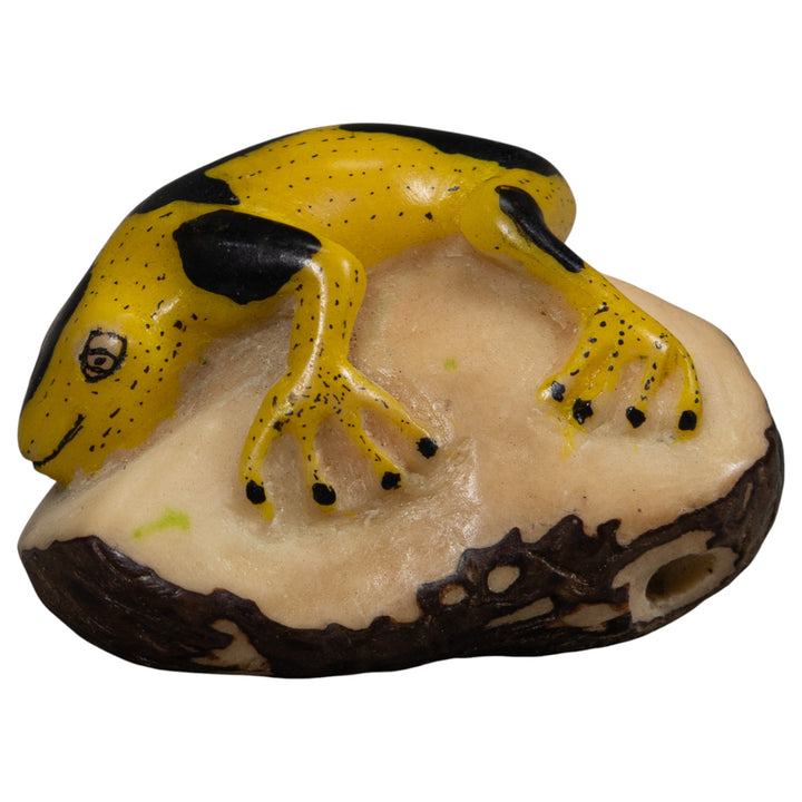 Vintage Yellow And Black Frog Tagua Carving