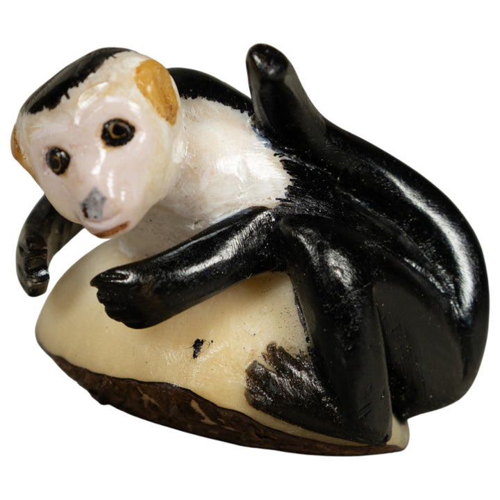 White Face Monkey Tagua Carving