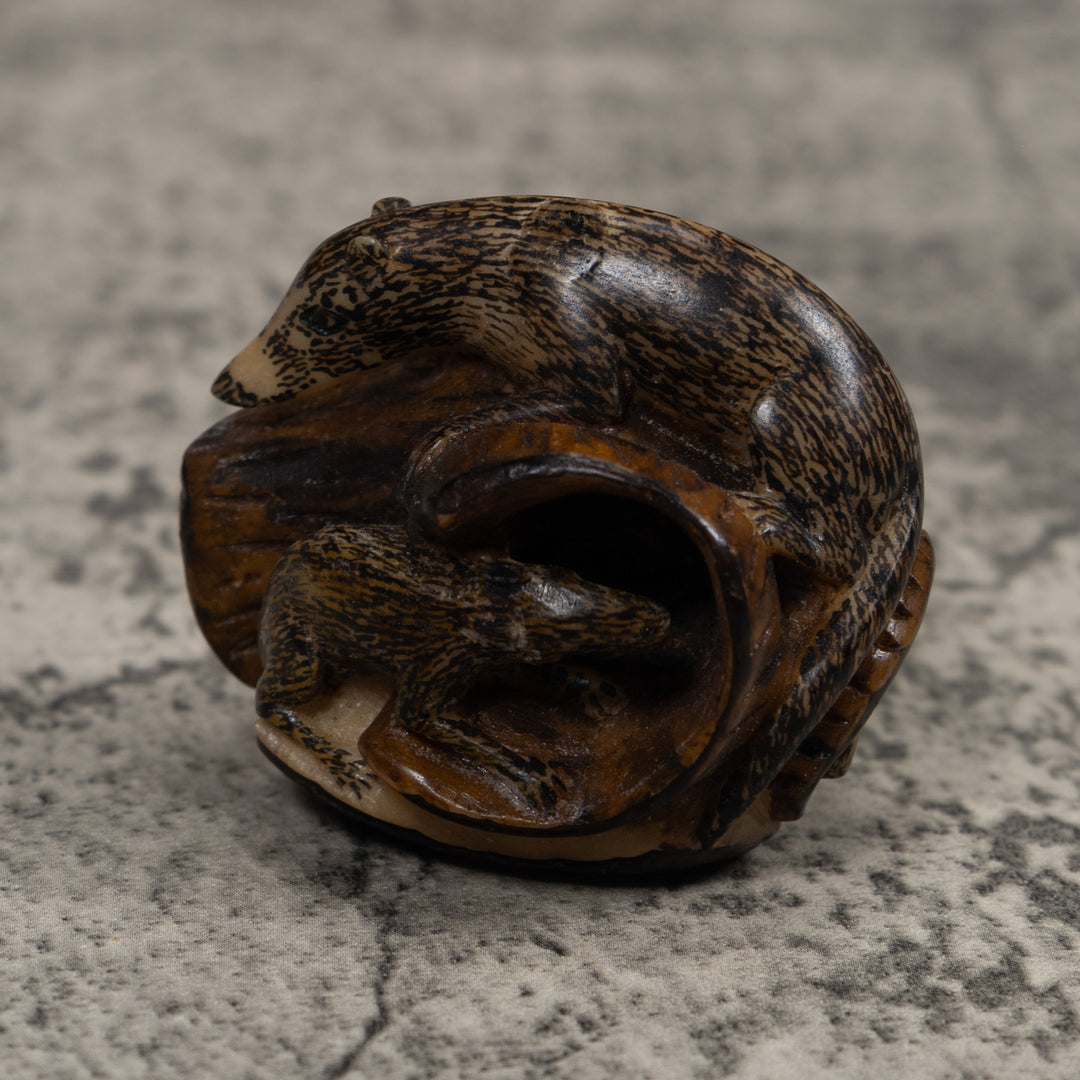 Coatimundi Tagua Carving