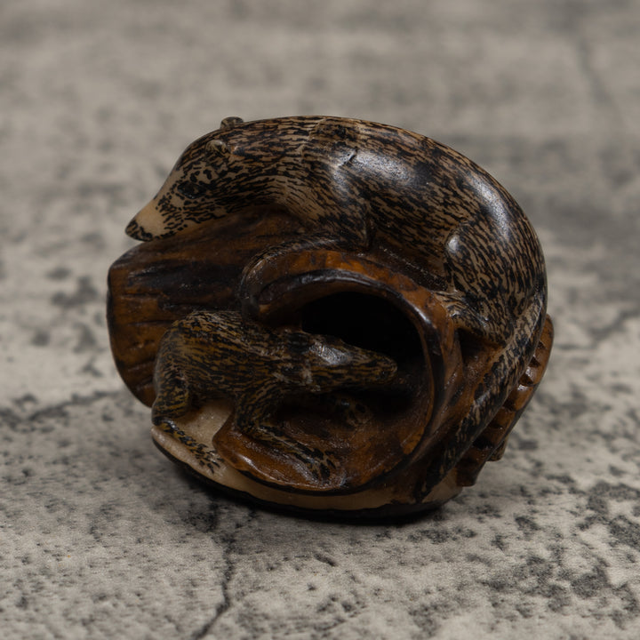 Coatimundi Tagua Carving
