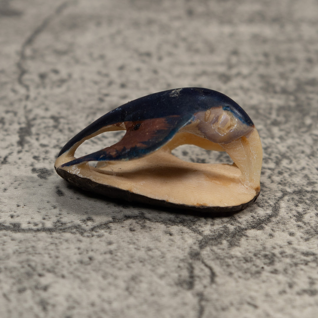 Vintage Black And Blue Bird Tagua Carving