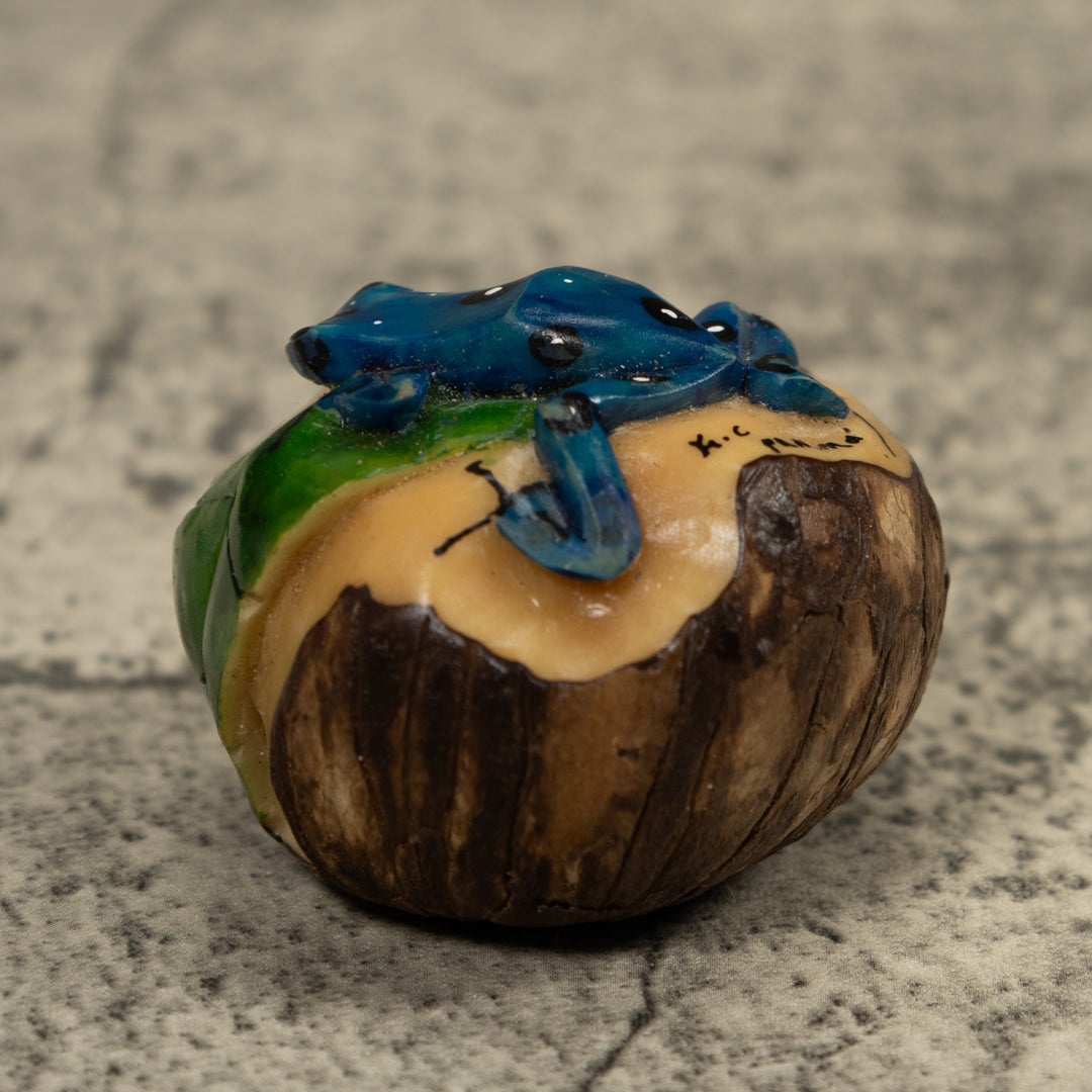 Blue Poison Dart Frog Tagua Carving