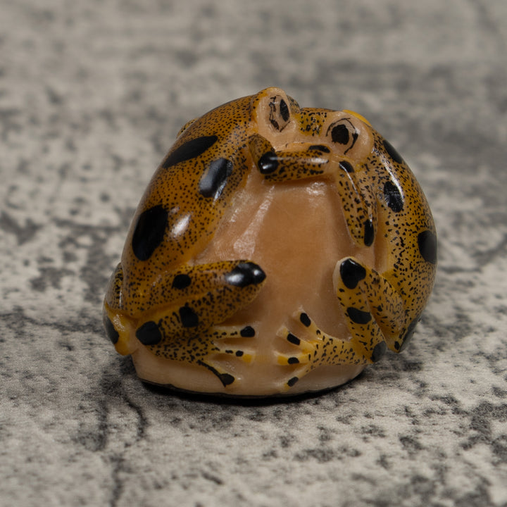 Double Vintage Frog Tagua Carving