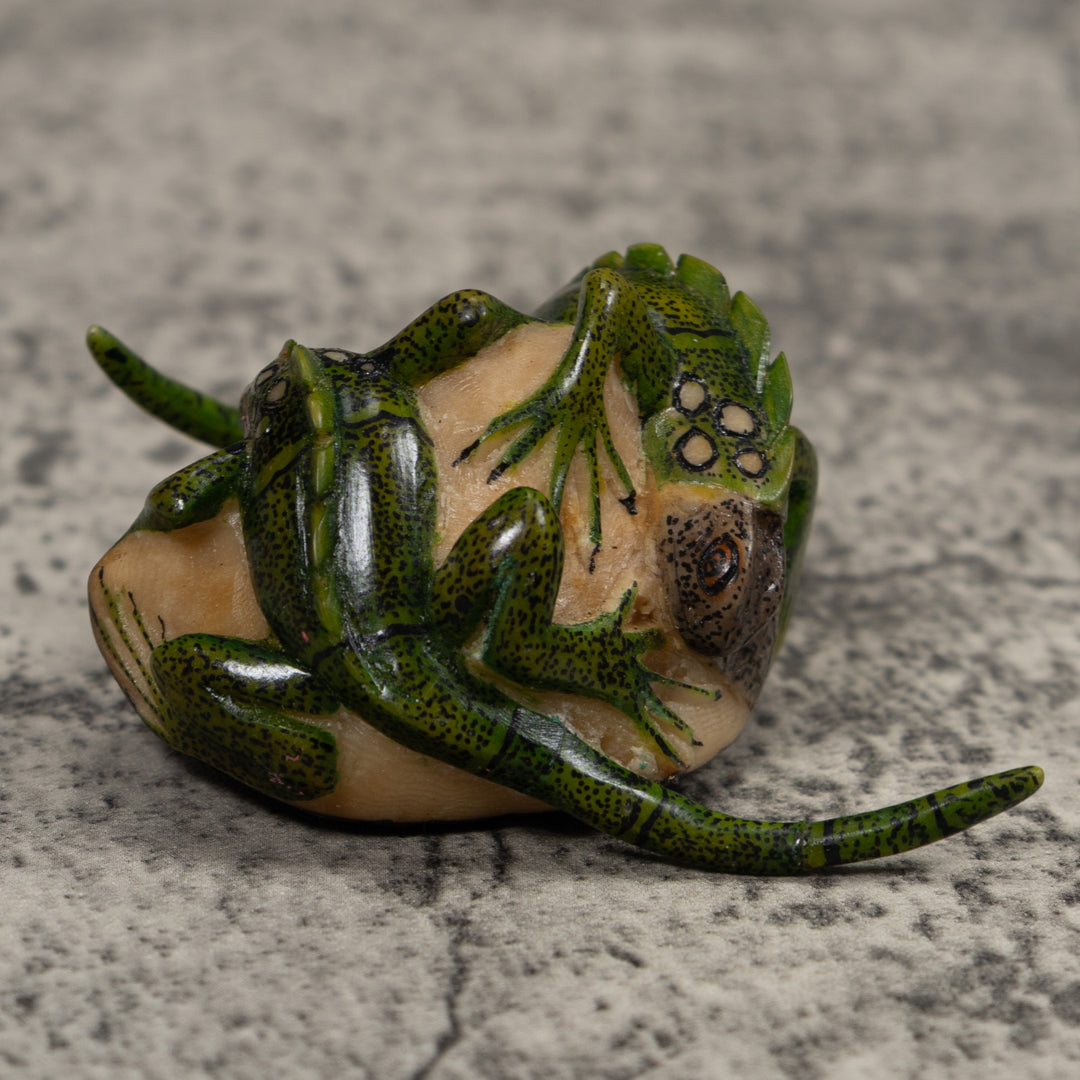 Double Long-Tail Iguana Tagua Carving