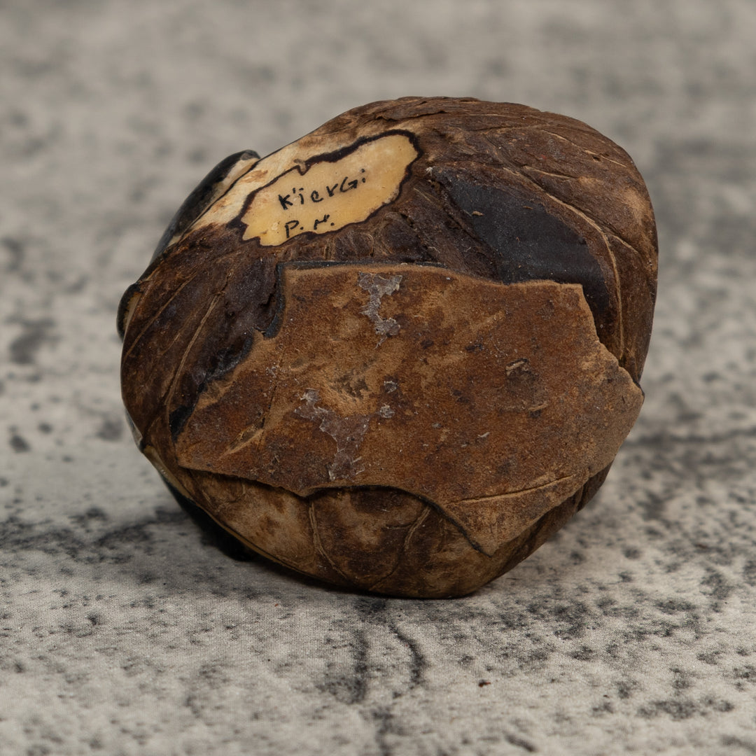 Black And Red Blowthroat Poison Dart Frog Tagua Carving