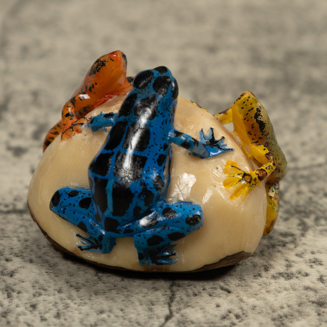 Triple Poison Dart Frog Tagua Carving