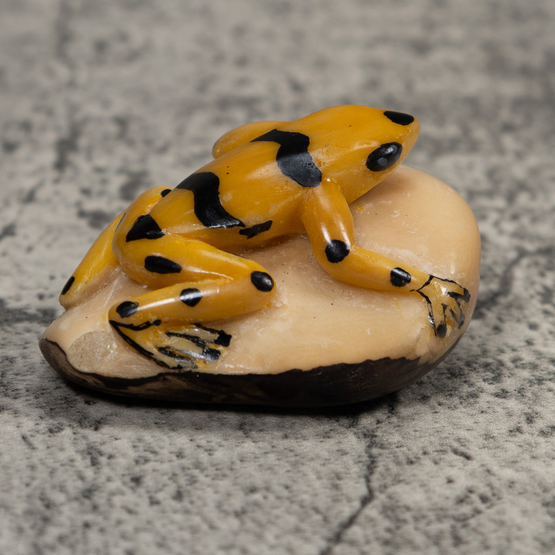Golden Frog Tagua Carving