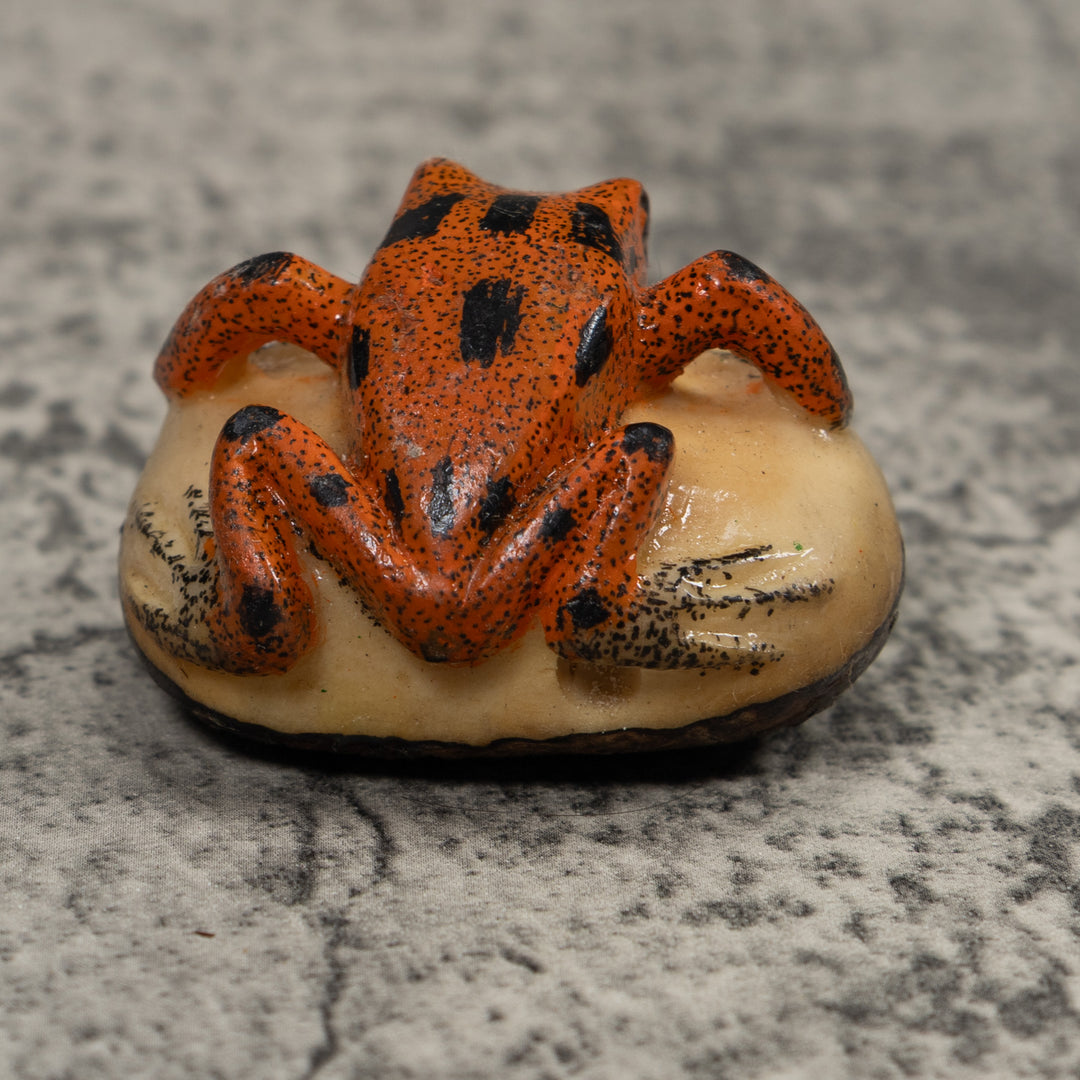 Vintage Poison Dart Frog Tagua Carving