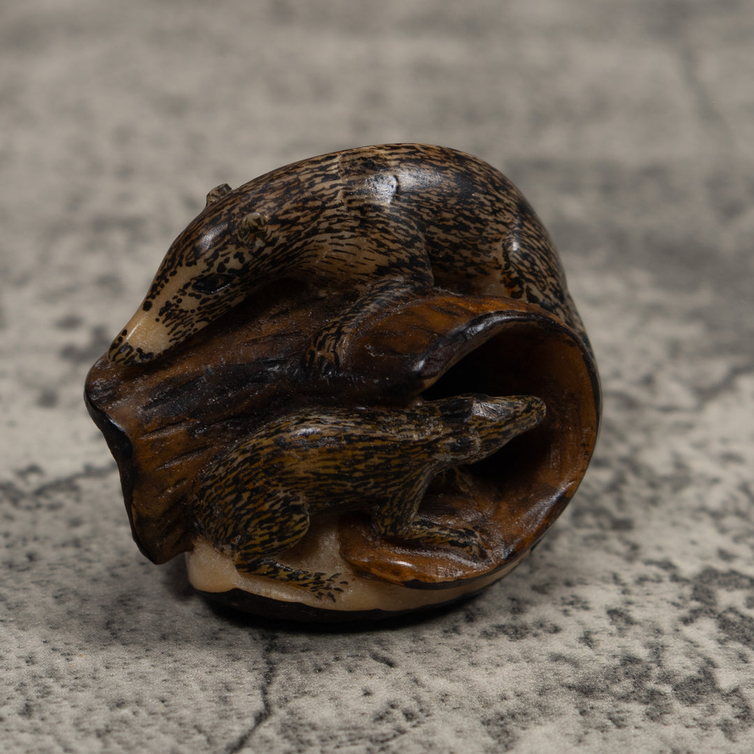 Coatimundi Tagua Carving