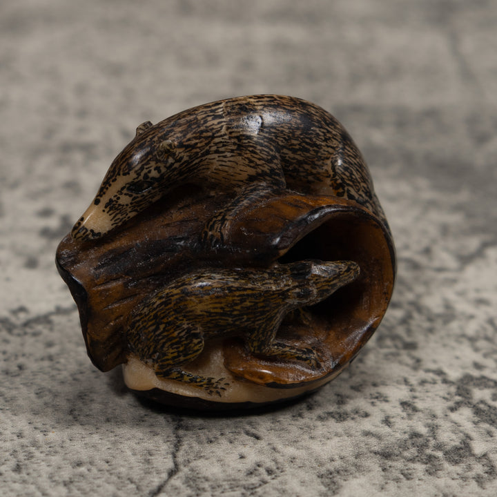Coatimundi Tagua Carving