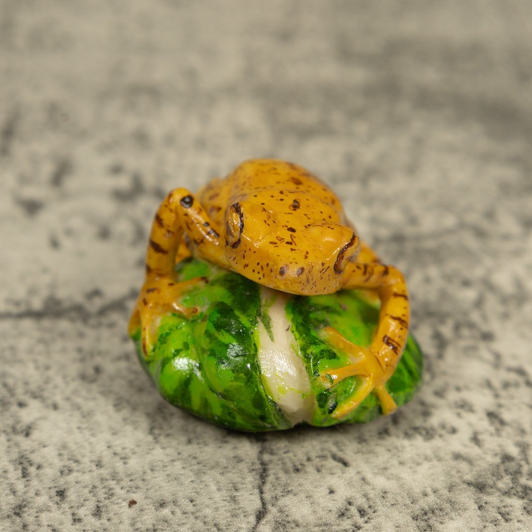 Golden Frog Tagua Carving
