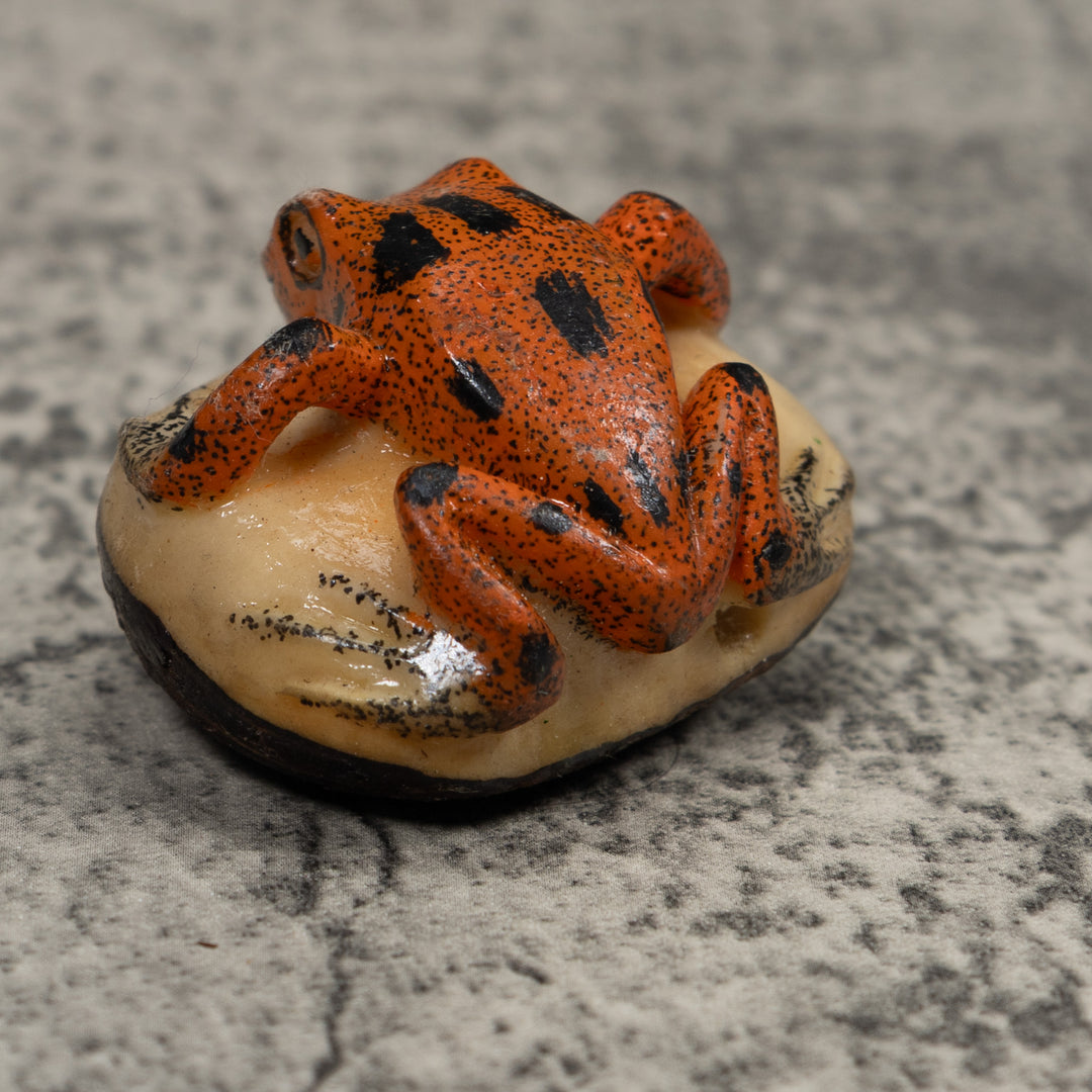 Vintage Poison Dart Frog Tagua Carving