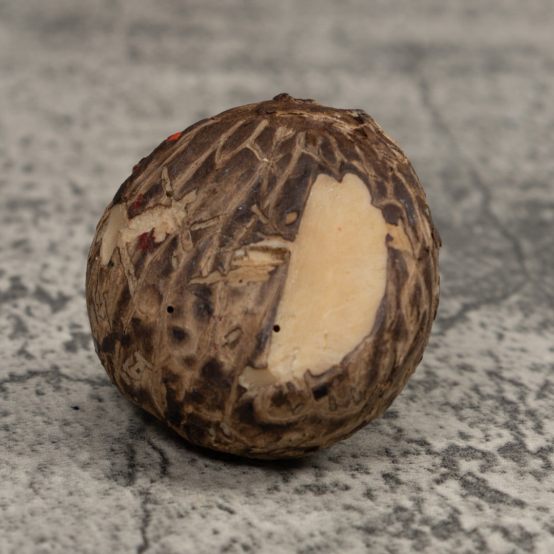 Poison Dart Frog Tagua Carving