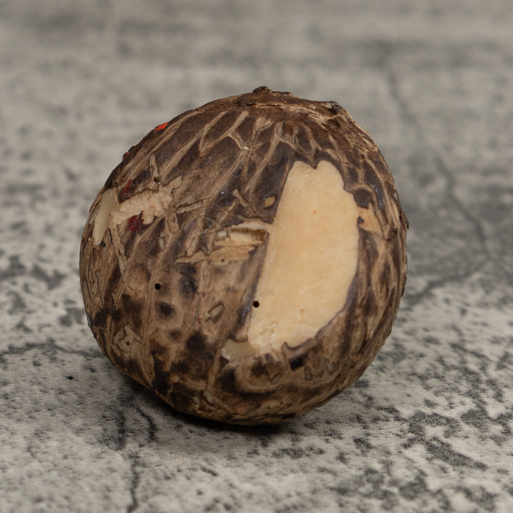 Poison Dart Frog Tagua Carving