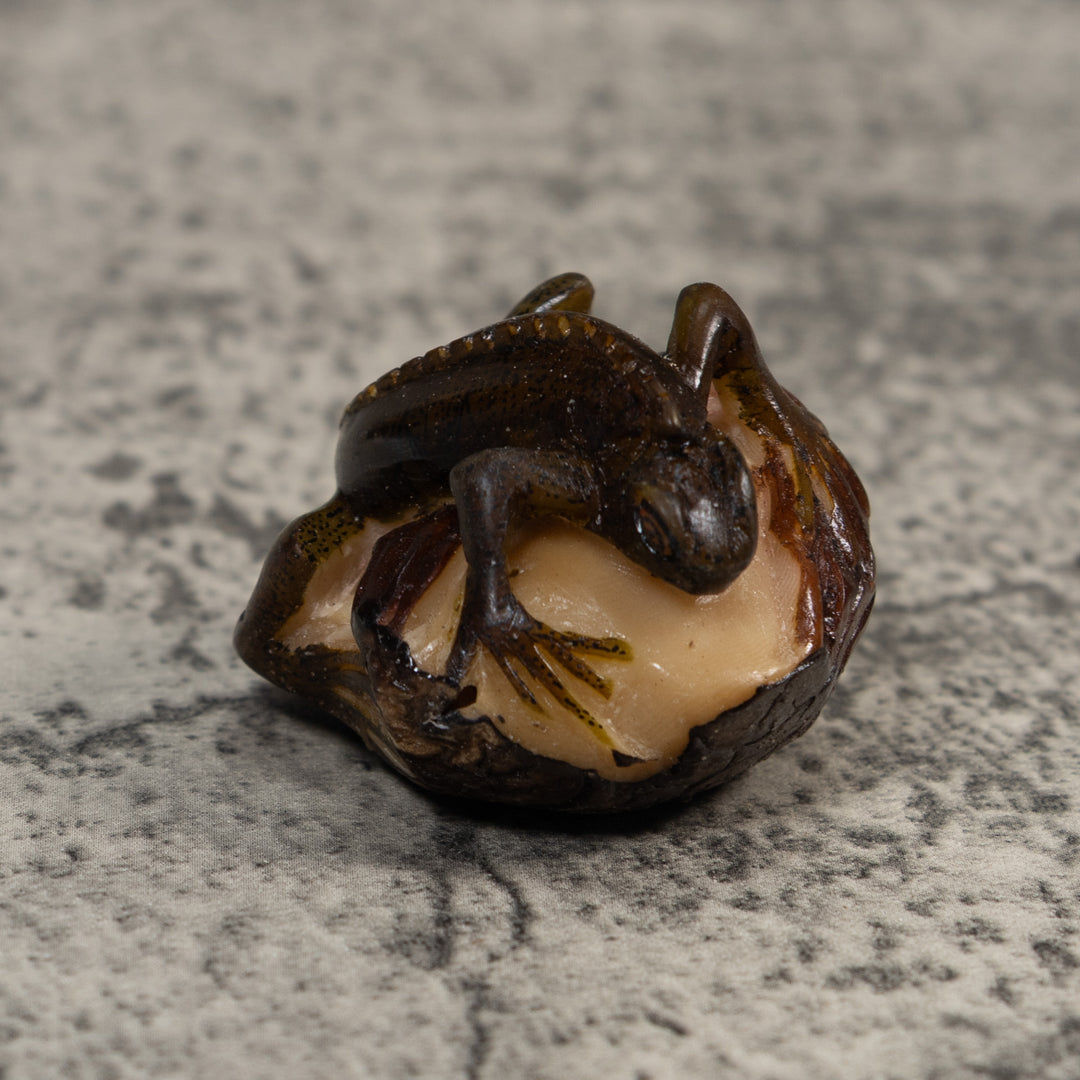 Brown And Black Iguana Lizard Tagua Carving