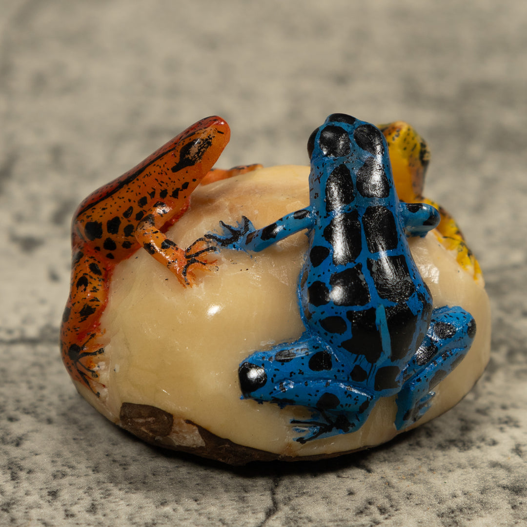 Triple Poison Dart Frog Tagua Carving