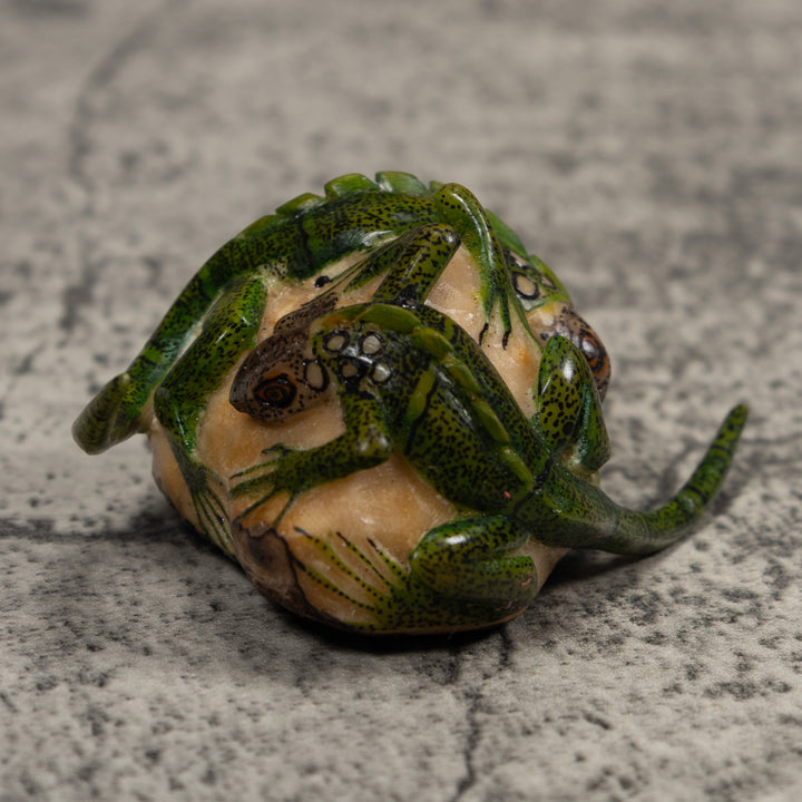 Double Long-Tail Iguana Tagua Carving