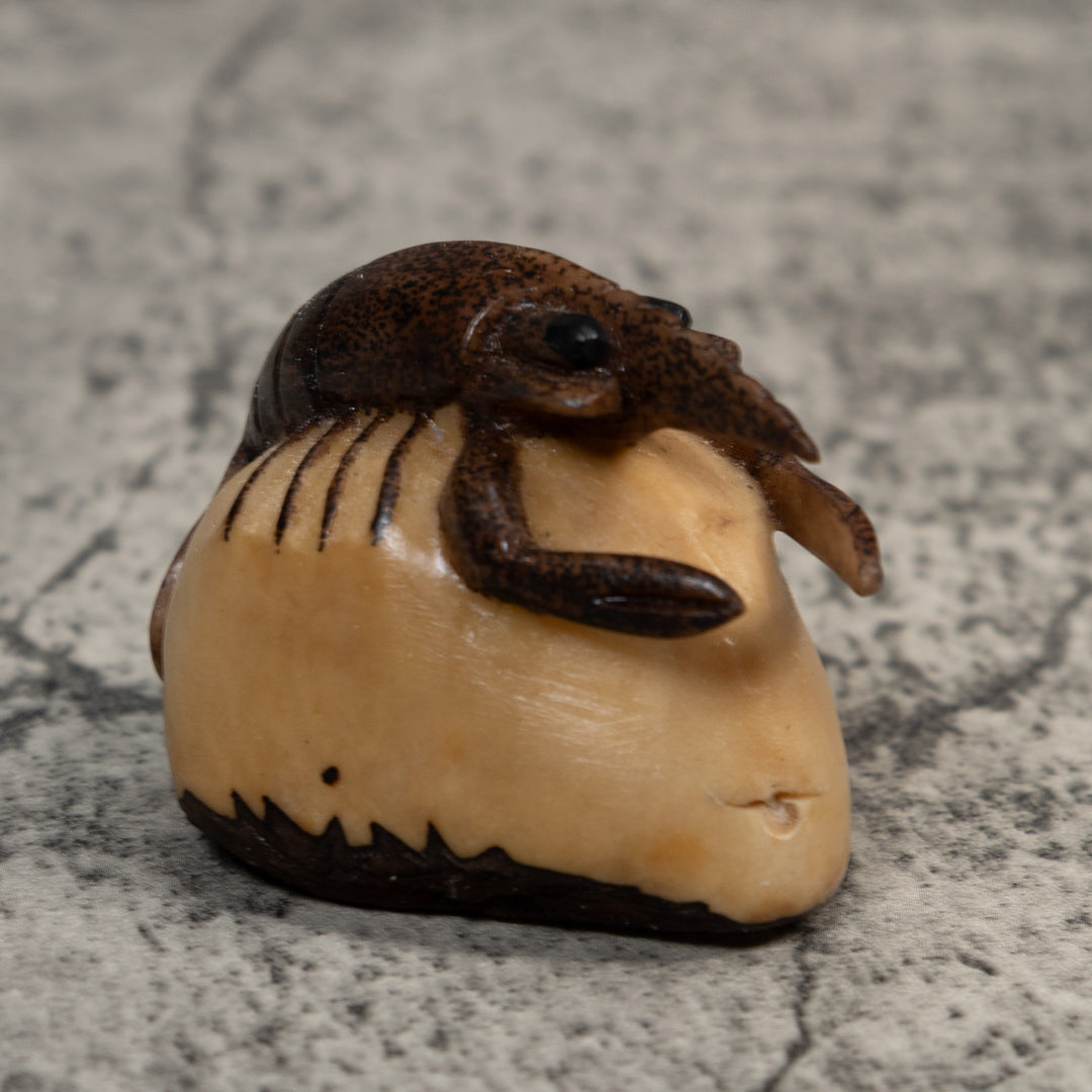 Brown Ocean Shrimp Tagua Carving