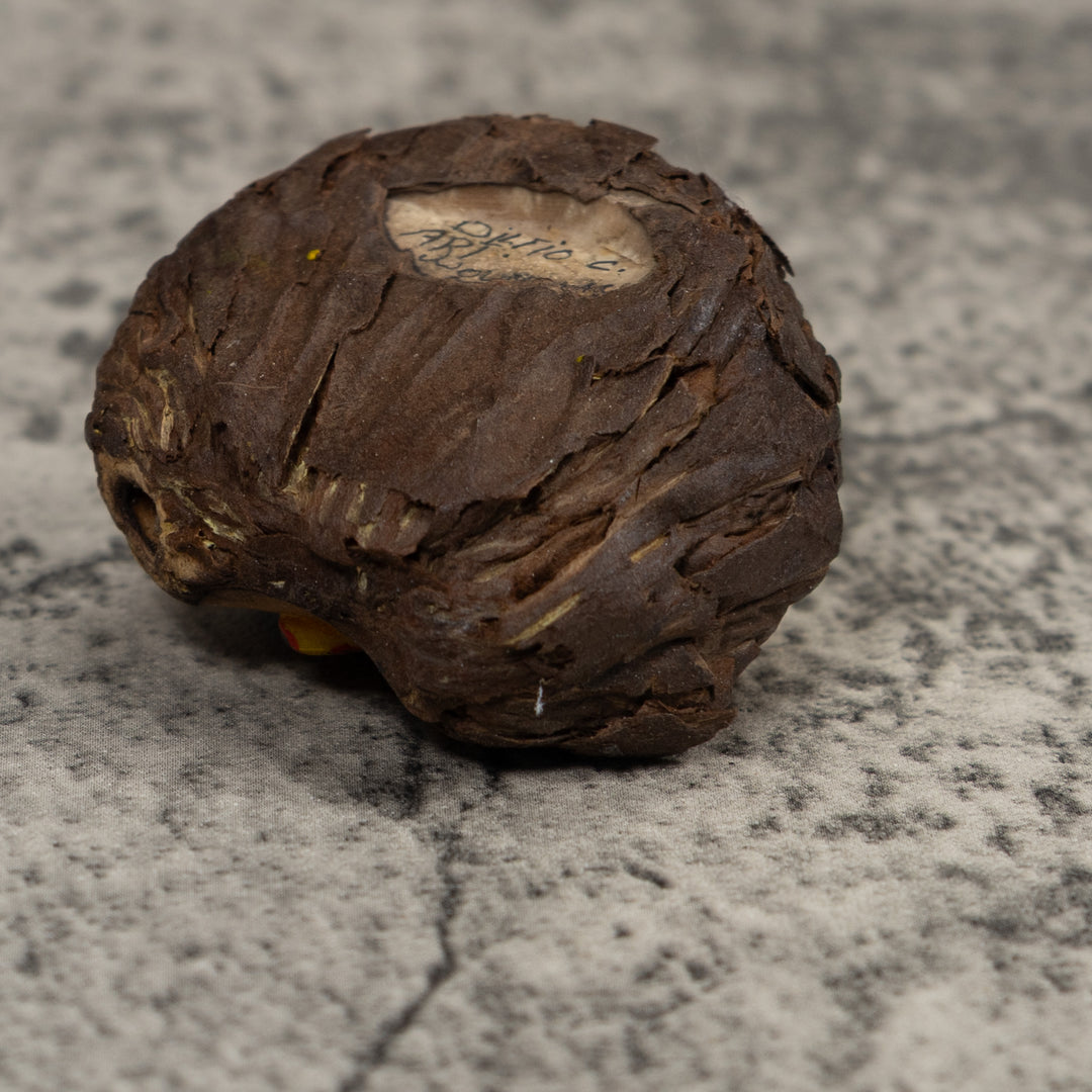 Gold Red And Black Frog Tagua Carving