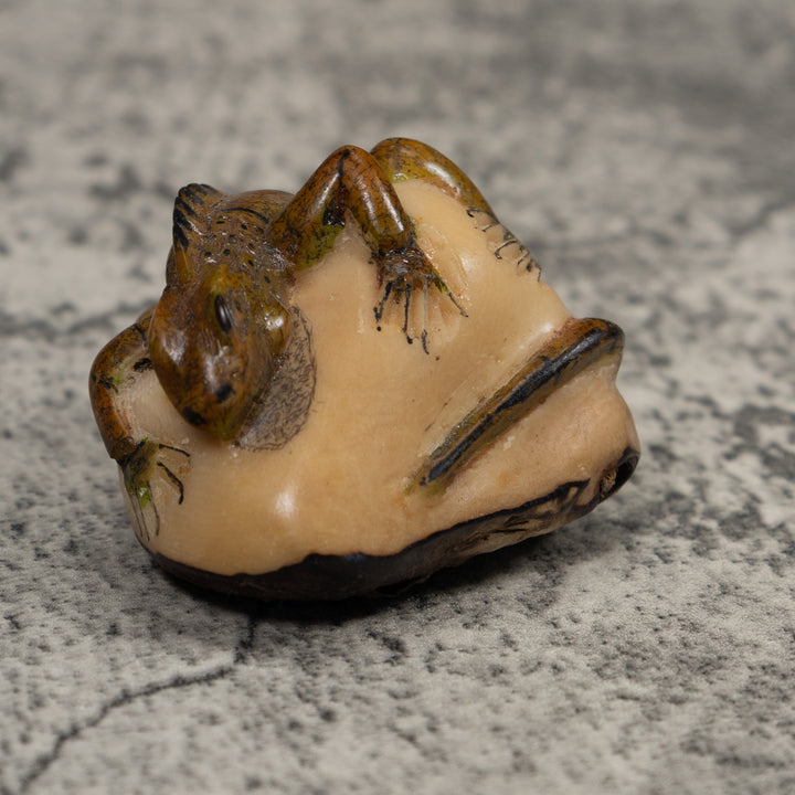 Vintage Iguana Lizard Reptile Tagua Carving