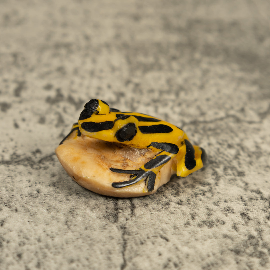 Vintage Black And Yellow Frog Tagua Carving