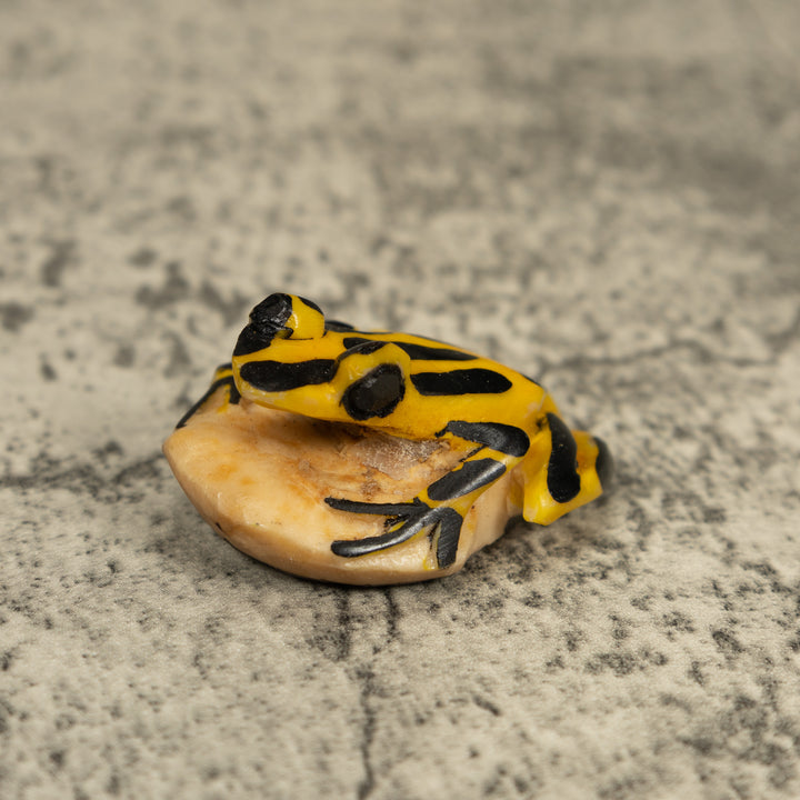 Vintage Black And Yellow Frog Tagua Carving