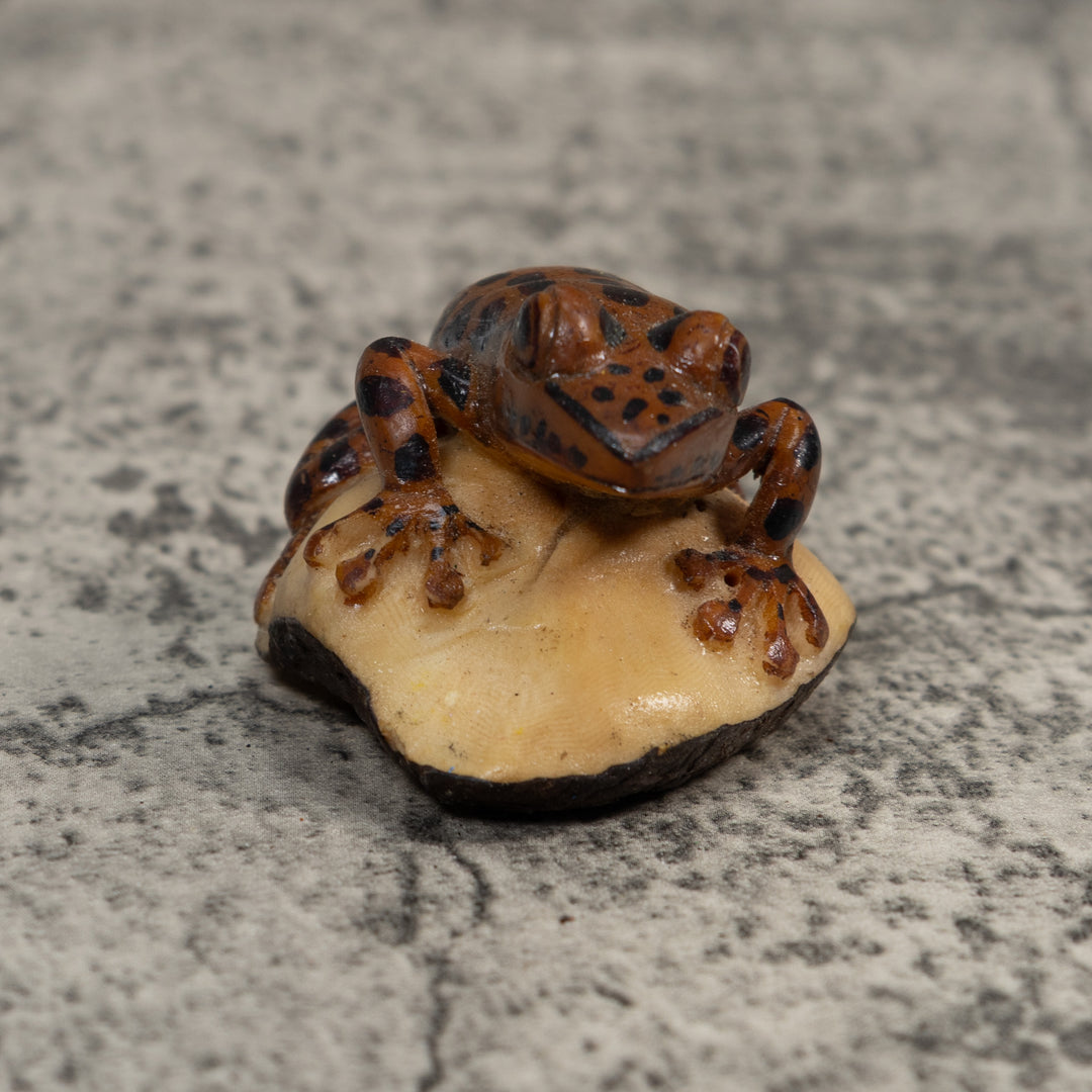 Black And Brown Toad Tagua Carving
