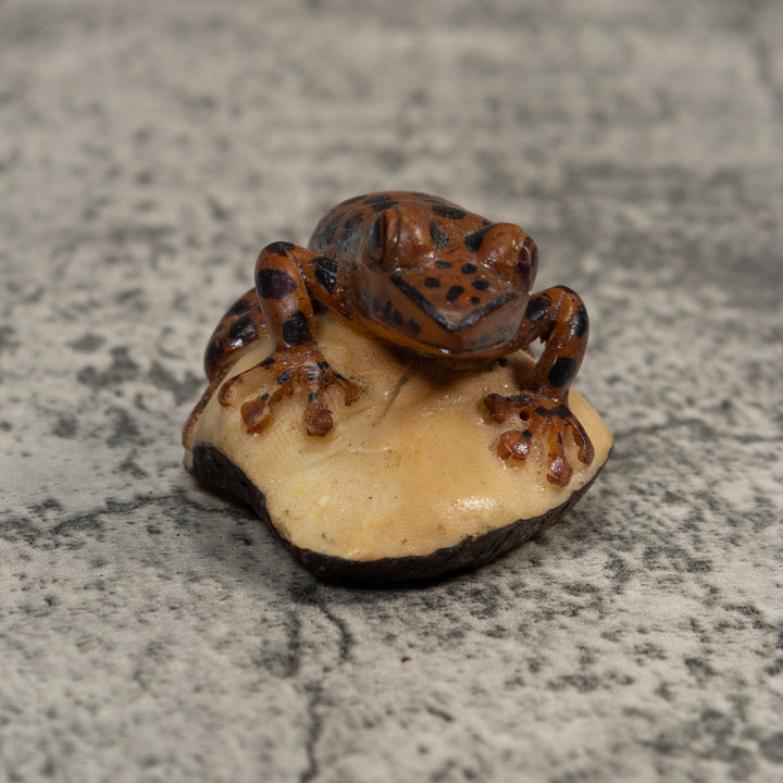 Black And Brown Toad Tagua Carving