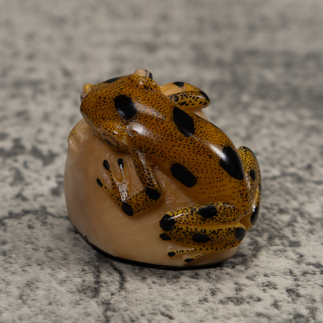 Double Vintage Frog Tagua Carving