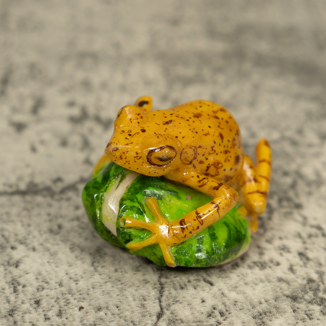 Golden Frog Tagua Carving