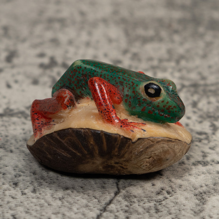 Red And Green Poison Dart Frog Tagua Carving