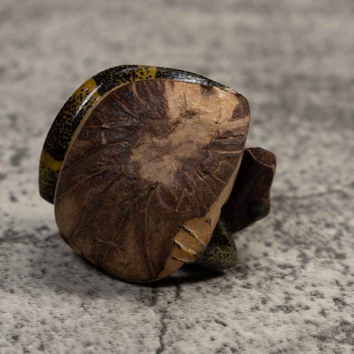 Black And Green Iguana Lizard Tagua Carving