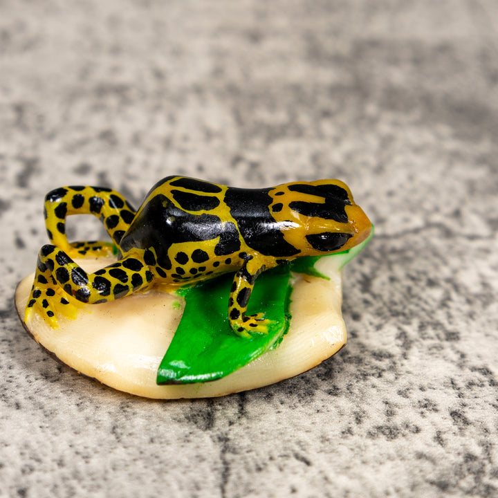Black And Yellow Poison Dart Frog Tagua Carving